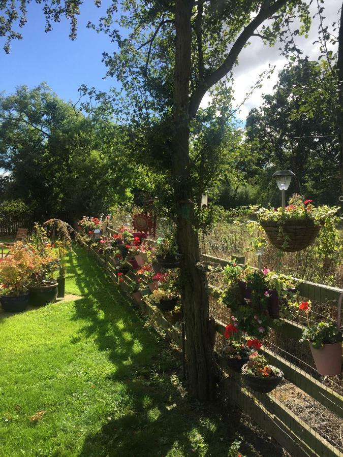 达灵顿Highbury House, Warm And Welcoming.公寓 外观 照片